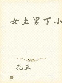 女上男下小说封面