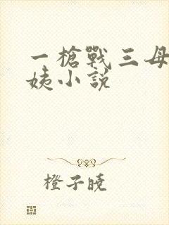 一枪战三母2雪姨小说封面