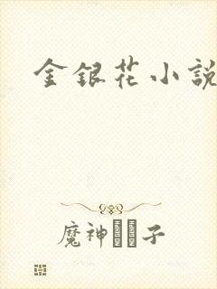 金银花小说乐可