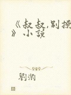 《叔叔,别撩我》小说