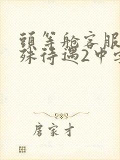 头等舱客服的特殊待遇2中字封面