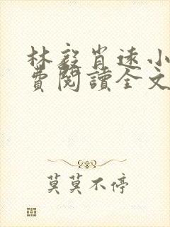 林毅肖远小说免费阅读全文最新章节