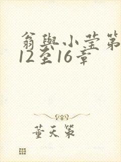 翁与小莹第十部12至16章