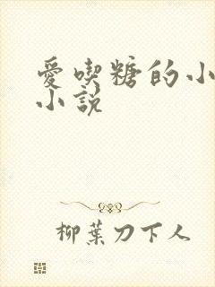 爱吃糖的小麻雀小说封面