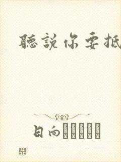 听说你要抵抗我