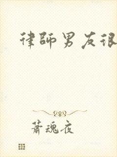 律师男友很难撩