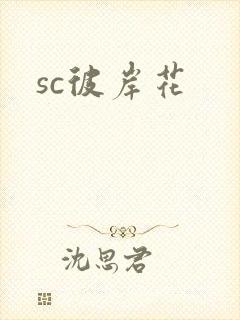 sc彼岸花封面