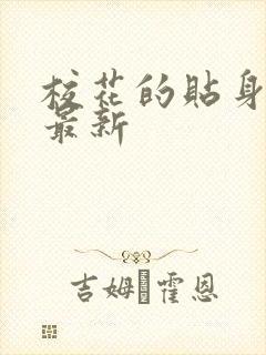 校花的贴身高手最新