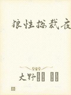 狼性总裁夜欢宠