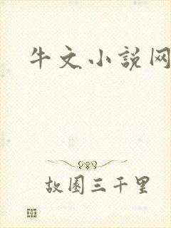 牛文小说网封面