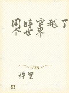 同时穿越了99个世界