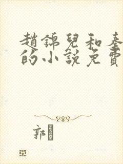 赵锦儿和秦慕修的小说免费阅读全文