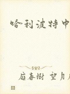 哈利波特中文版