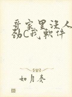 哥家里没人使点劲C我软件