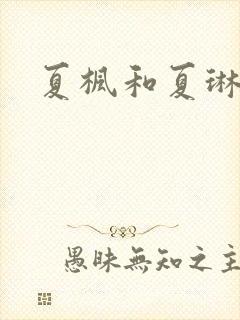 夏枫和夏琳封面