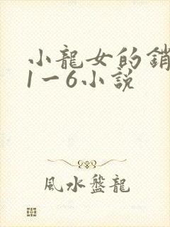 小龙女的销魂夜1一6小说封面