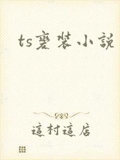 ts变装小说封面