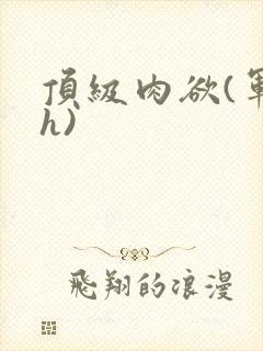 顶级肉欲(军高h)