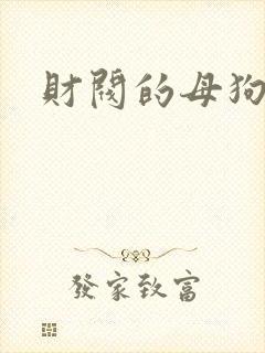 财阀的母狗们