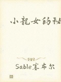 小龙女的秘密封面