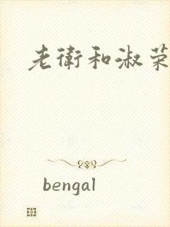 老卫和淑荣封面