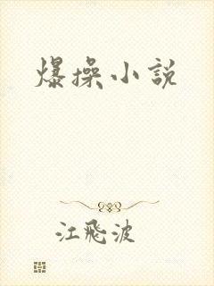 爆操小说