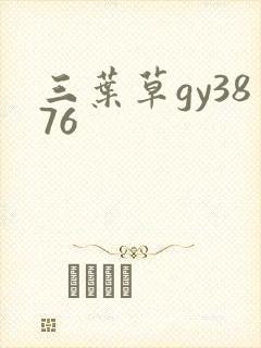 三叶草gy3876