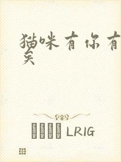 猫咪有你有我足矣