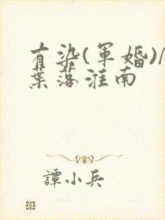 有染(军婚)/叶落淮南