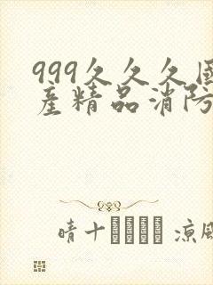 999久久久国产精品消防器材