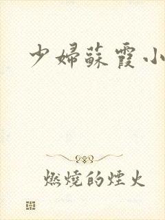 少妇苏霞小说封面