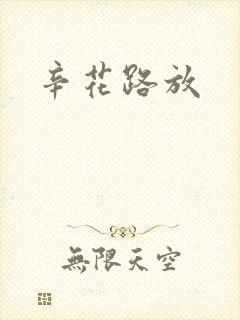辛花路放封面
