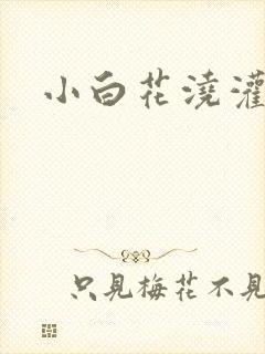 小白花浇灌日常