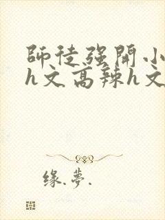 师徒强开小嫩苞h文高辣h文