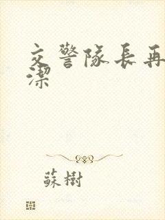 交警队长再遇白洁