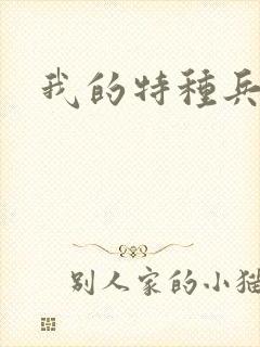 我的特种兵男友