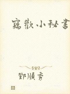 窃欢小秘书
