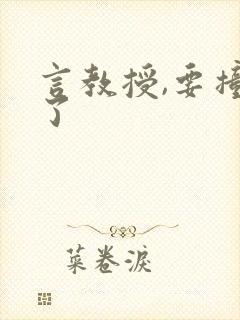 言教授,要撞坏了封面