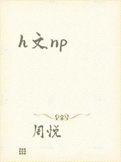 h文np封面