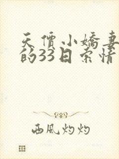天价小娇妻总裁的33日索情封面