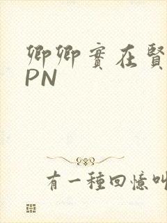 卿卿实在贤良NPN