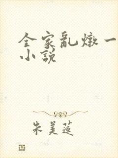 全家乱炖一锅烩小说