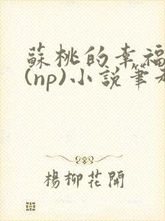 苏桃的幸福生活(np)小说笔趣阁