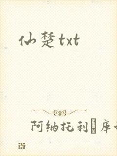 仙楚txt