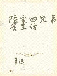 陆家四兄弟的甜蜜生活
