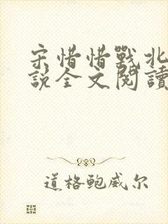 宋惜惜战北望小说全文阅读