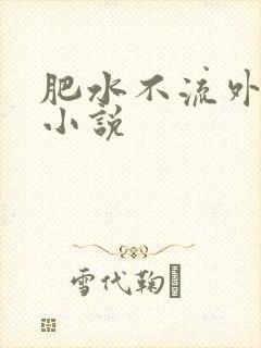肥水不流外人田小说封面