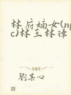 林府嫡女(npc)林玉林璋