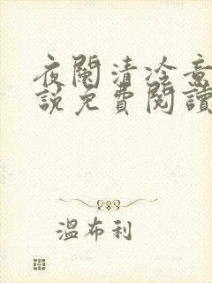 夜阑清冷意欢小说免费阅读