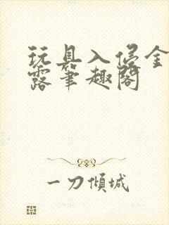 玩具入侵金银花露笔趣阁